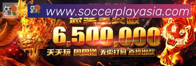 2026世界杯投注入口荣誉